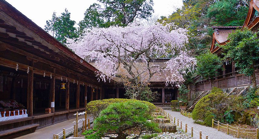 吉野・水分神社のイメージ画像